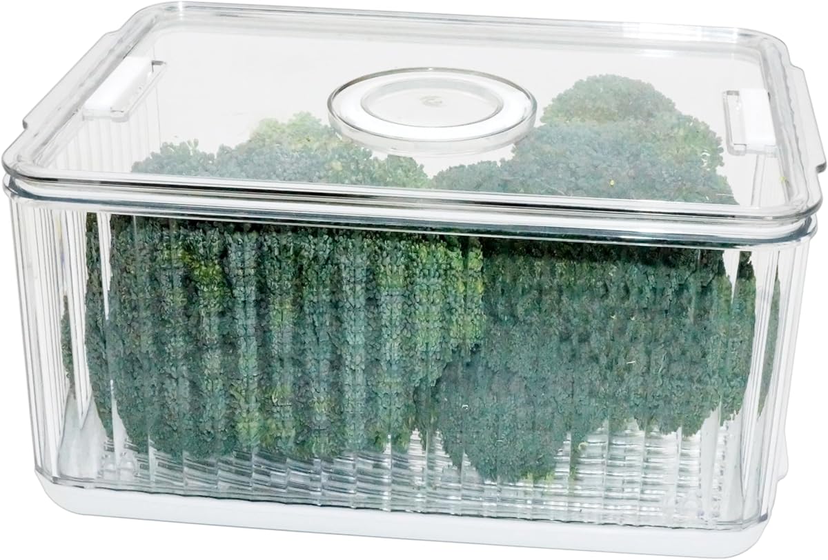 Oggi Fresh Keeper Max Produce Containers for Fridge