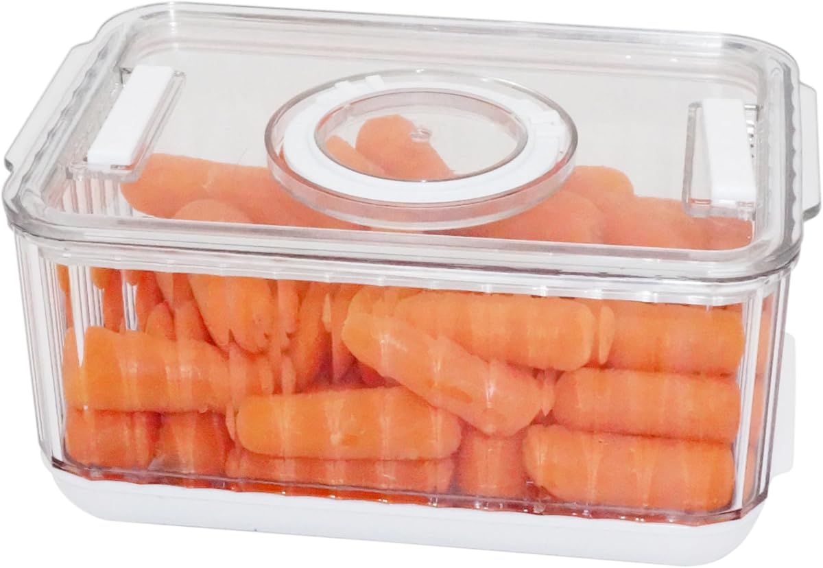 Oggi Fresh Keeper Berry Containers for Fridge